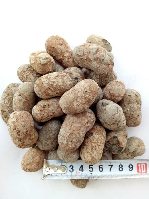 LECA/Ceramsite 20-40mm   
