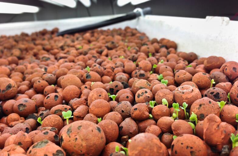 lightweight aggregate 8-16mm 